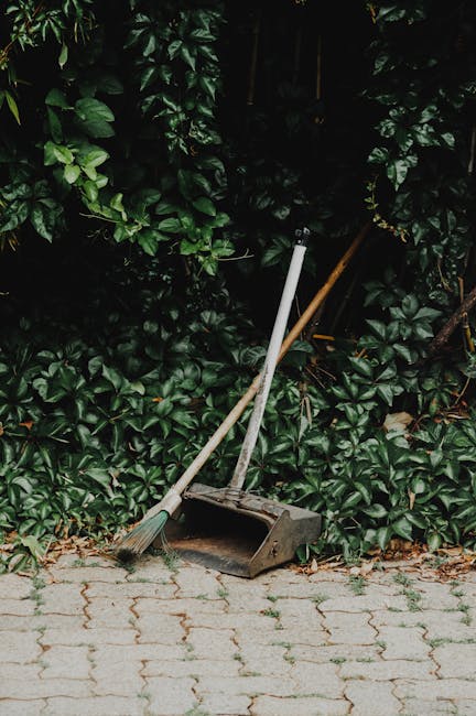 A metal dustpan and a small hand broom with a wooden handle, both showing signs of dirt and wear, are leaning against a dense, dark green hedge composed of broad-leaved shrubs. The dustpan, which is light grey with a slightly curved shape, rests on a paved surface made of rectangular grey bricks, some of which have small cracks. The broom has pale bristles and a long, slender wooden handle. The scene appears to be outdoors near a garden or patio area, with the tools likely used for garden or yard cleaning tasks. The background features lush foliage, creating a natural backdrop that contrasts with the utilitarian cleaning tools placed in the foreground. The lighting is natural, casting soft shadows on the ground, indicating daylight conditions, and the overall setting reflects an environment where outside rubbish or garden debris might be cleared, consistent with alternative waste handling or rubbish removal services.