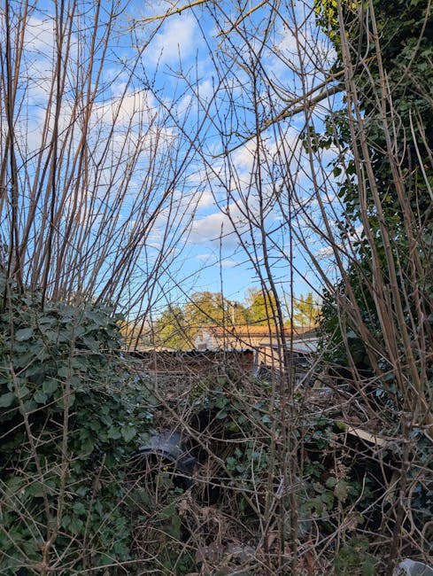 A metal dustpan and a small hand broom with a wooden handle, both showing signs of dirt and wear, are leaning against a dense, dark green hedge composed of broad-leaved shrubs. The dustpan, which is light grey with a slightly curved shape, rests on a paved surface made of rectangular grey bricks, some of which have small cracks. The broom has pale bristles and a long, slender wooden handle. The scene appears to be outdoors near a garden or patio area, with the tools likely used for garden or yard cleaning tasks. The background features lush foliage, creating a natural backdrop that contrasts with the utilitarian cleaning tools placed in the foreground. The lighting is natural, casting soft shadows on the ground, indicating daylight conditions, and the overall setting reflects an environment where outside rubbish or garden debris might be cleared, consistent with alternative waste handling or rubbish removal services.